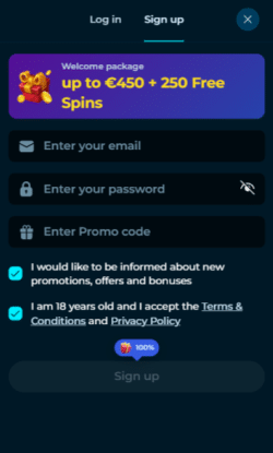 Stap 2: Gegevens invullen